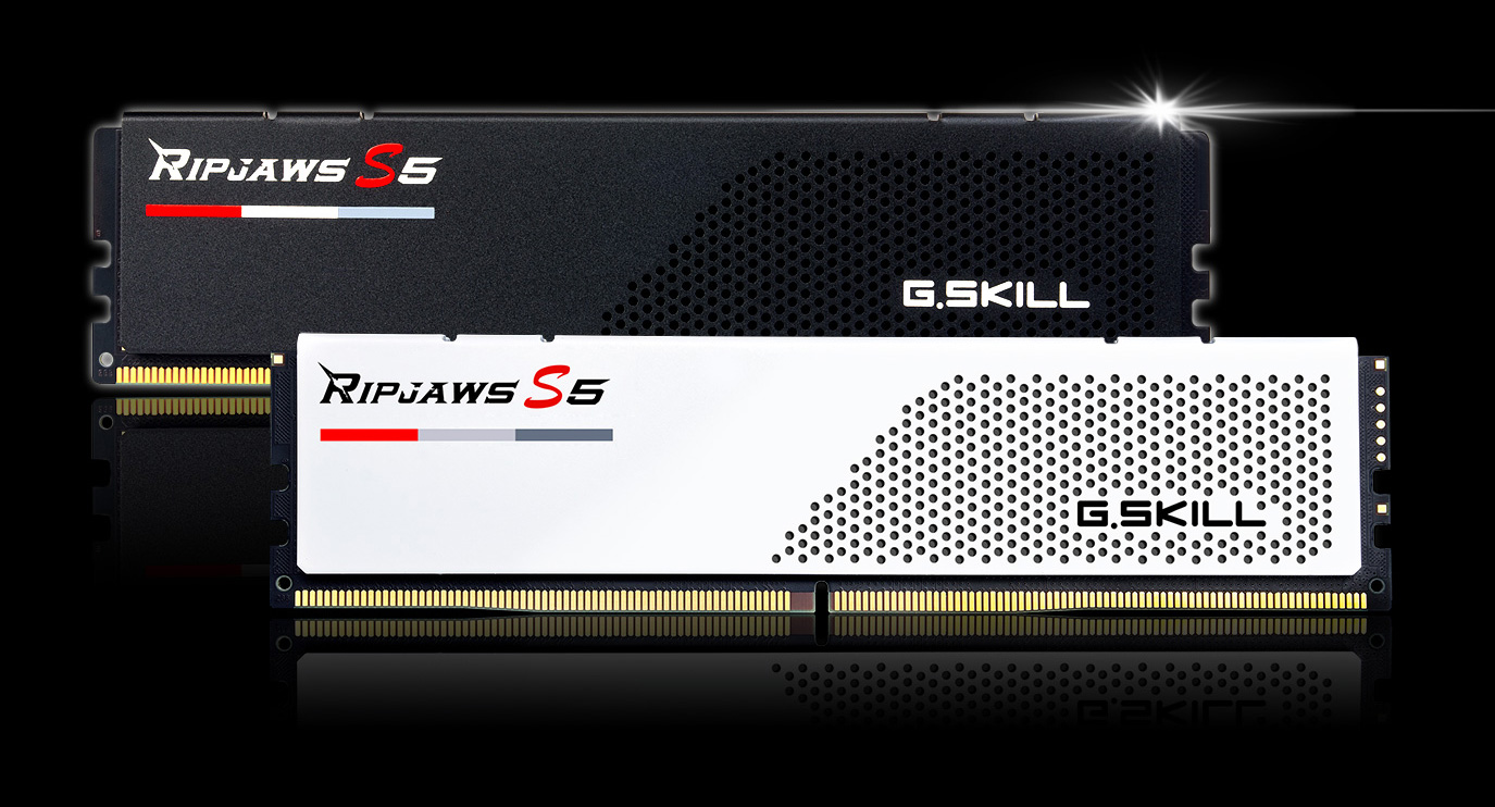 G.SKILL Ripjaws S5 Series 32GB (2 x 16GB) 288-Pin PC RAM DDR5 6000 (PC5  48000) Desktop Memory Model F5-6000J3040F16GX2-RS5W